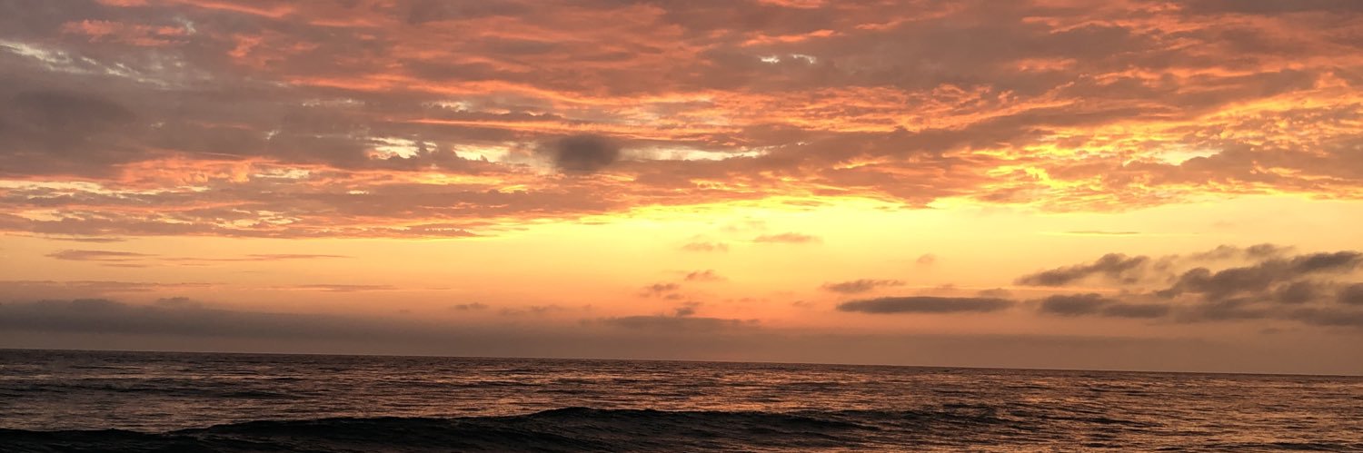 taracheever's profile banner image