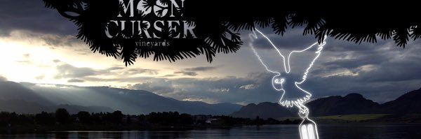 mooncurser's profile banner image