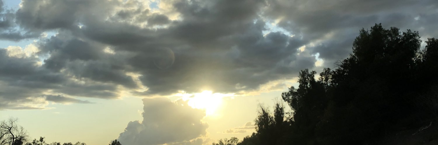 lilycy's profile banner image
