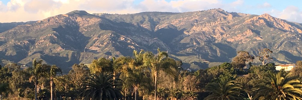 Charles Donelan banner