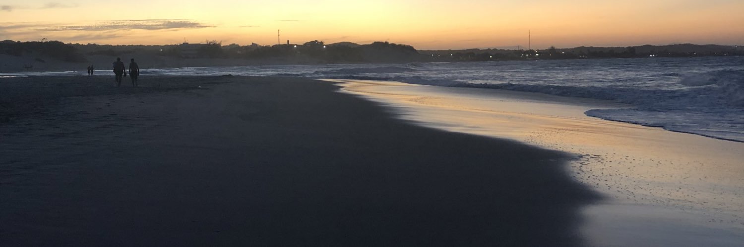 Pedro B banner