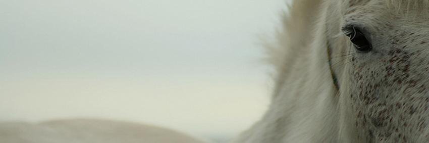jC_arte's profile banner image