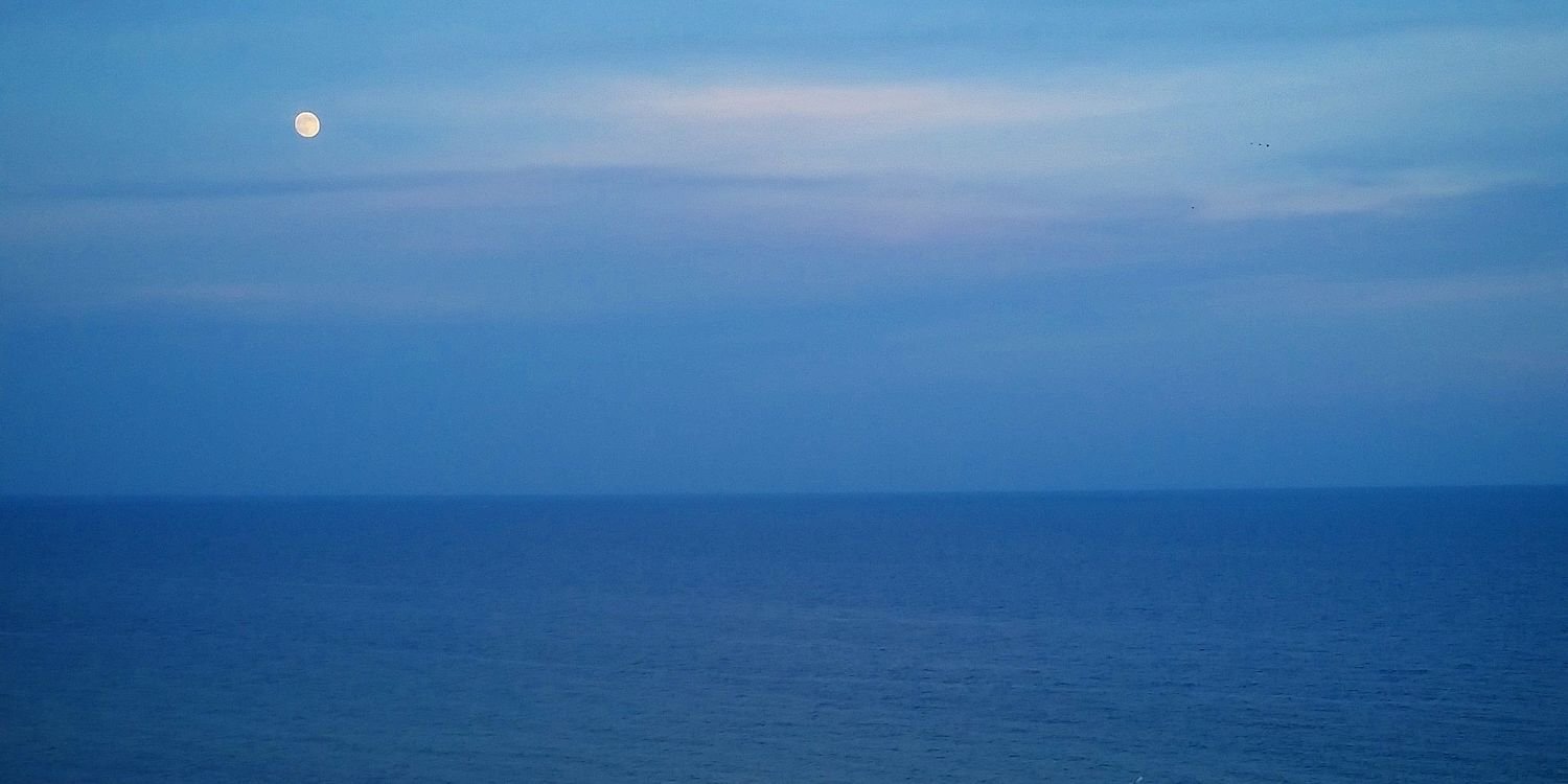 Kimberly Young banner