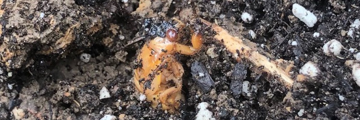 Darren Ficklin banner