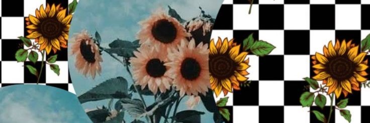 mariaflober's profile banner image