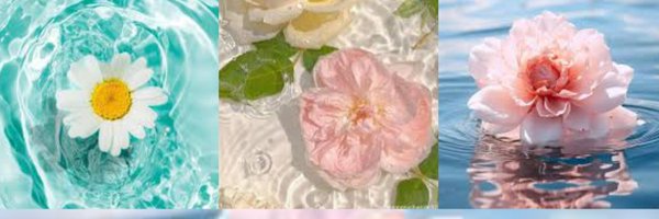 spicesai Profile Banner