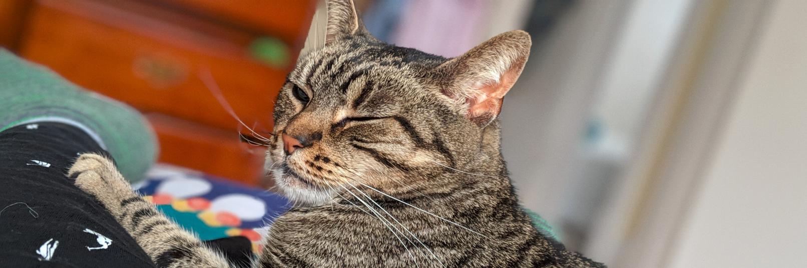 mandface's profile banner image
