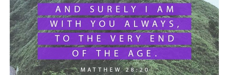 Sunnye Forrest banner