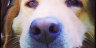 Nigry's profile banner image