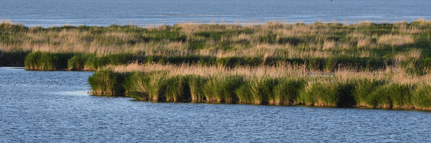 Gereltuv Dashdoorov banner