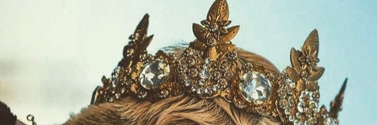 _deariel's profile banner image
