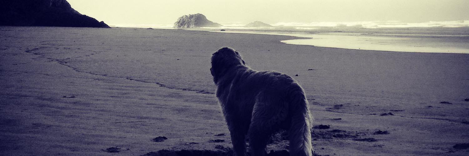johnnorberg's profile banner image