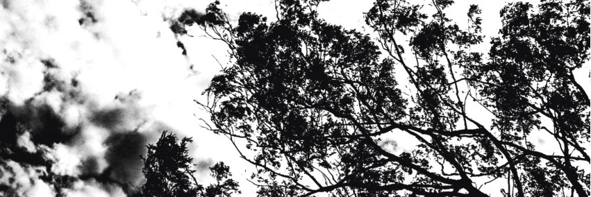 Ocio banner