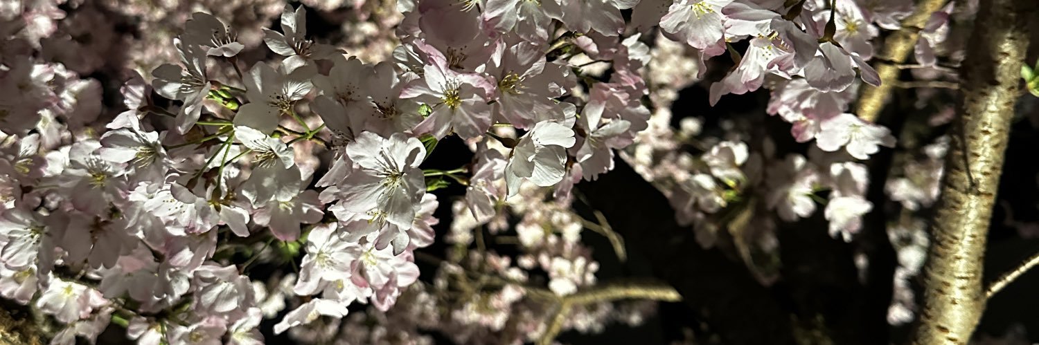JustinKanda_'s profile banner image