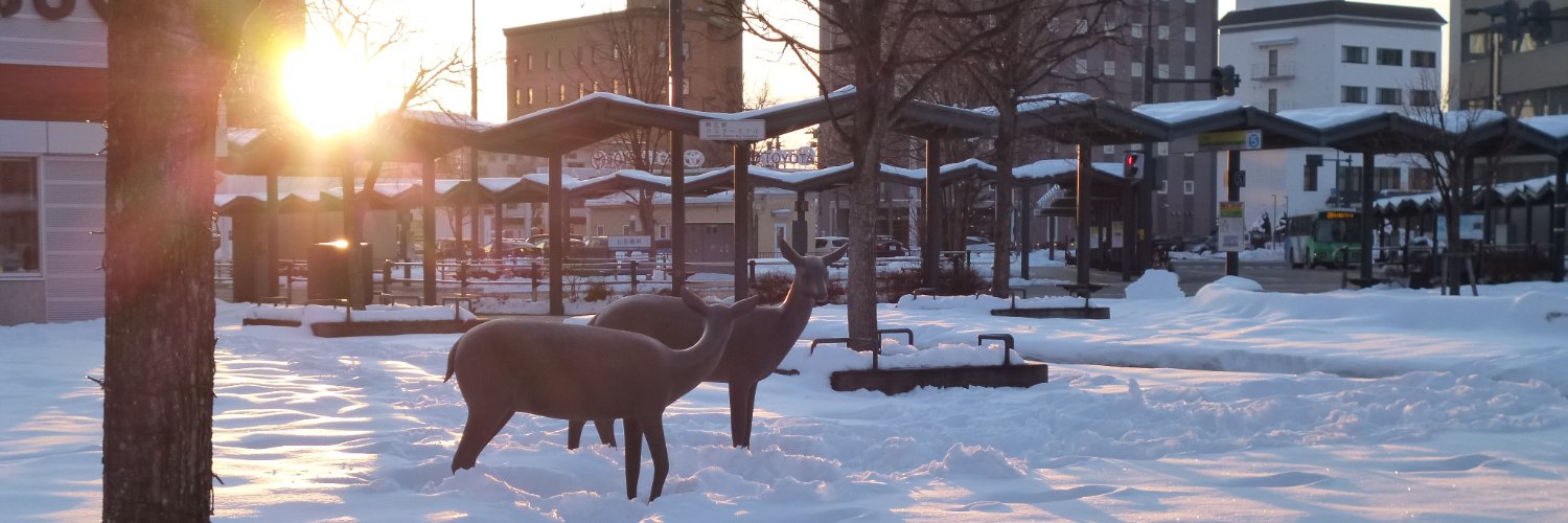 もさお@ぼっち旅行マン🐰📒 banner