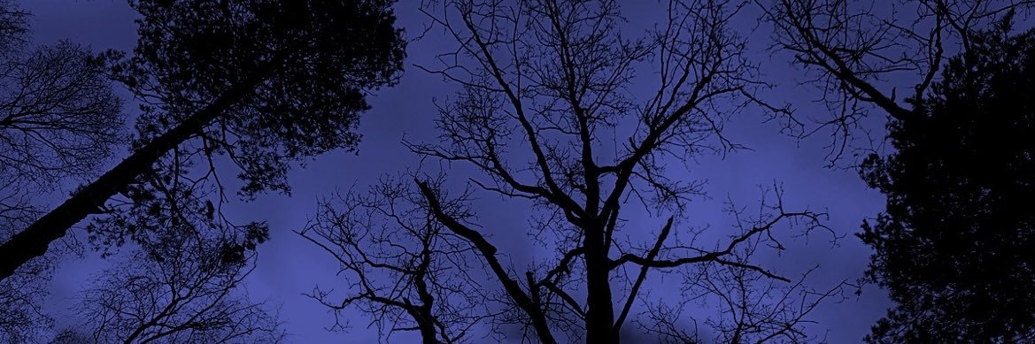 imdebss's profile banner image