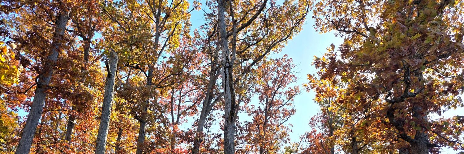 ChronicHope_DC's profile banner image