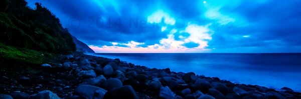 nestyocampo Profile Banner