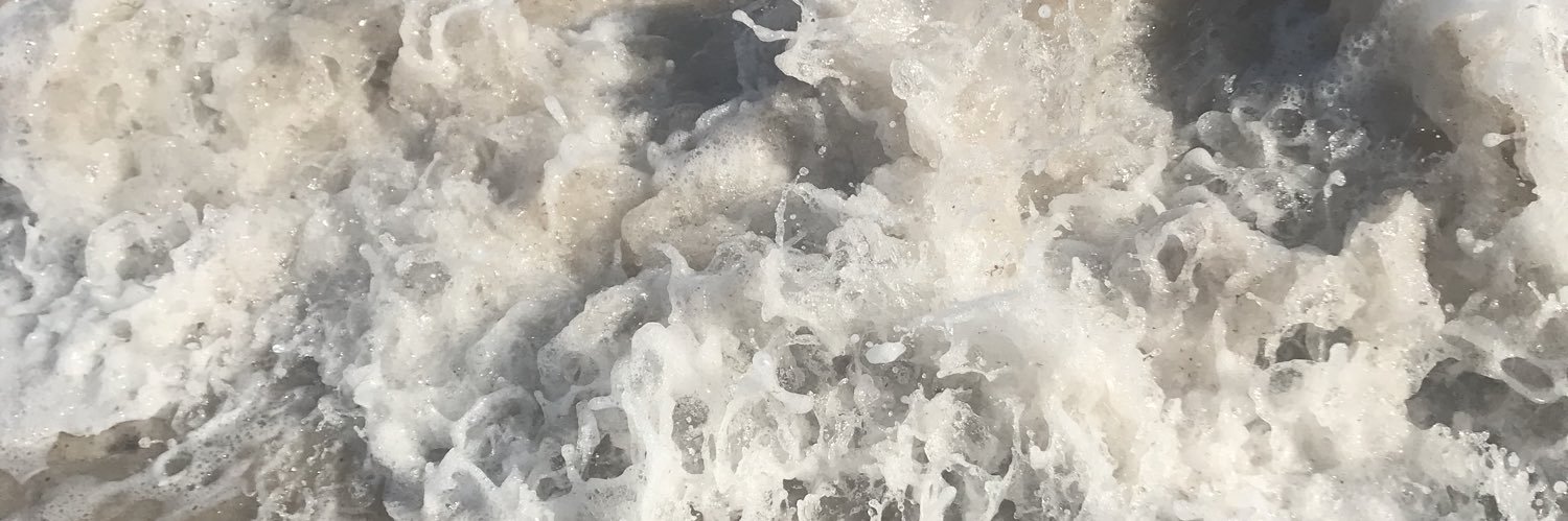 lifeofsu's profile banner image