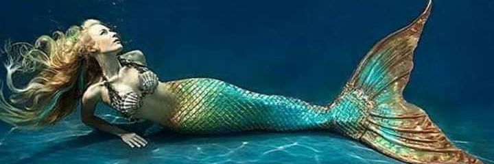 beccajochick's profile banner image