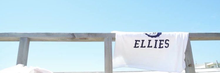 あゆみん banner
