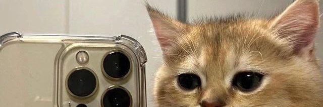 Billu7billu's profile banner image