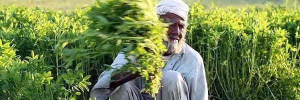 ridwanbaloch's profile banner image