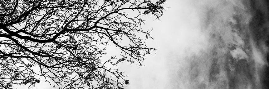 Fernando Vigueras banner