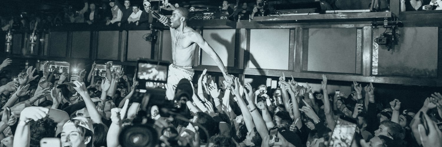 Red Eyed Roxbury Dragon banner