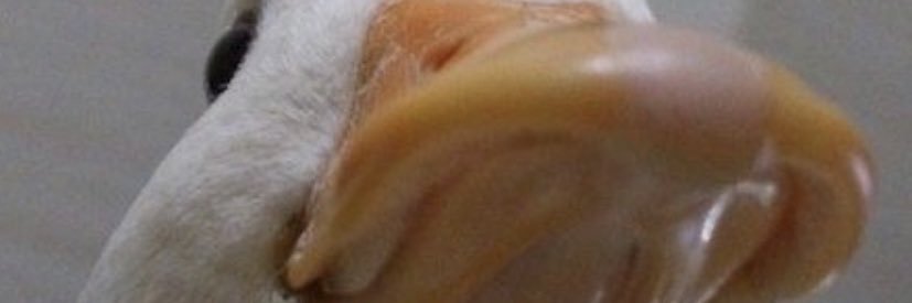 Super_Jogurt's profile banner image
