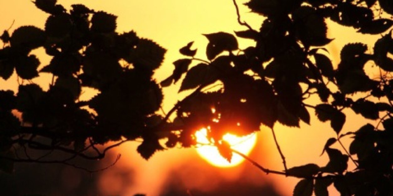 mel_fernandes1's profile banner image