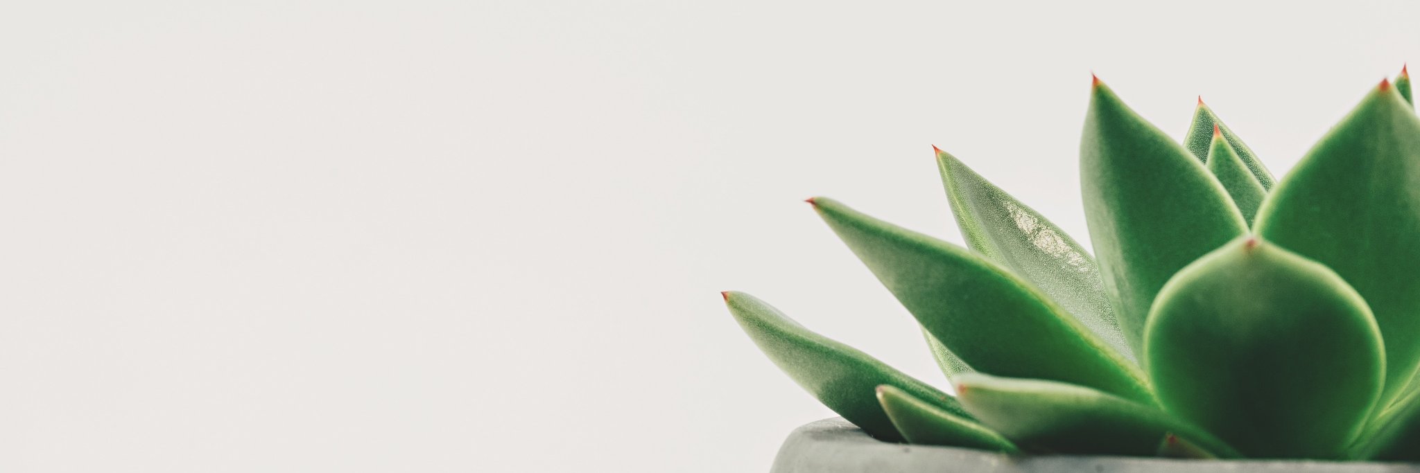 timholl's profile banner image