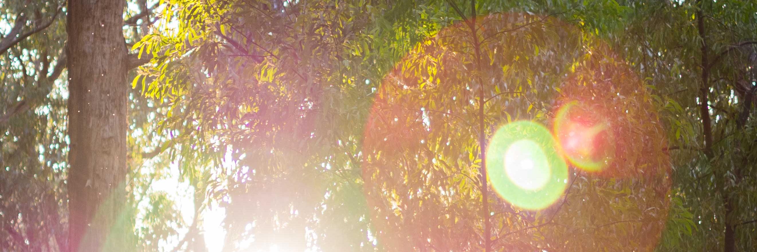 oztabletpc's profile banner image