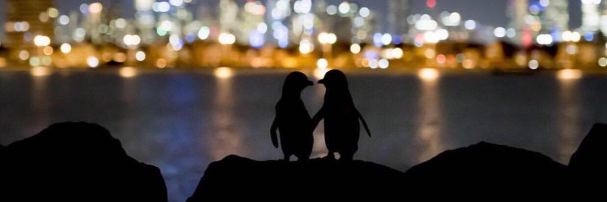 طلب یازوخ banner