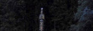 sastai's profile banner image