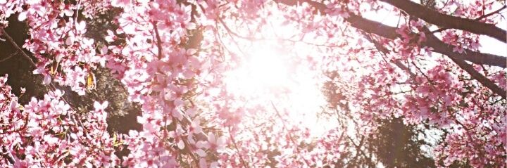 Ai_24twelve's profile banner image