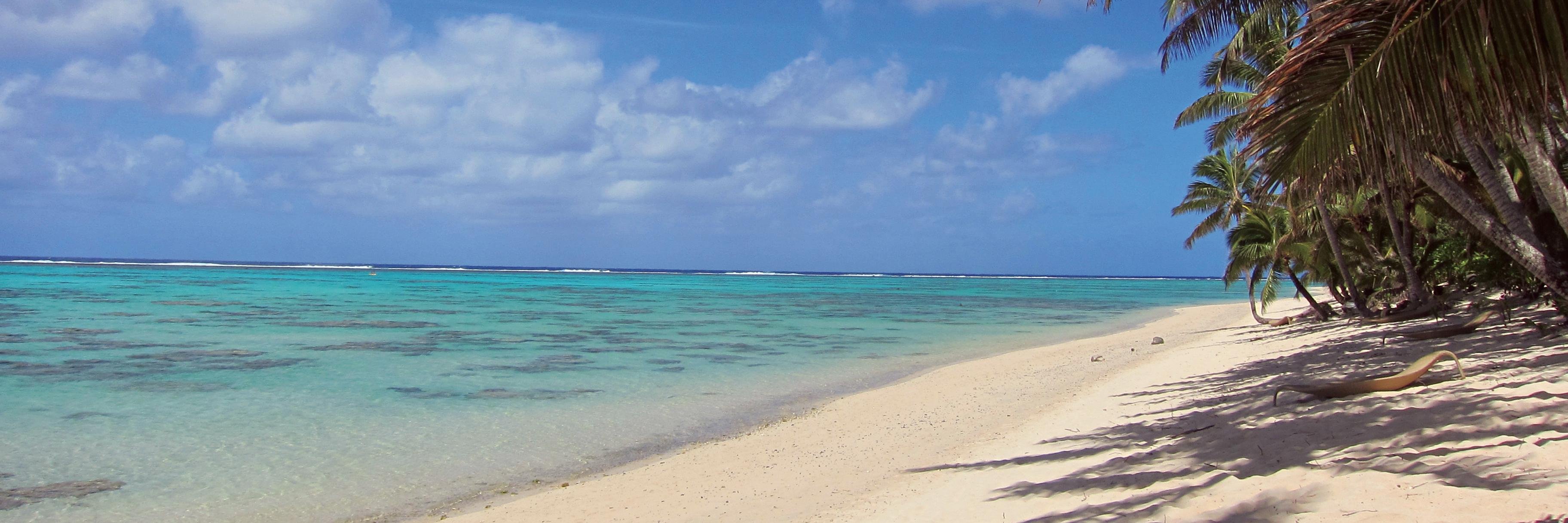 Celeste Mitchell banner