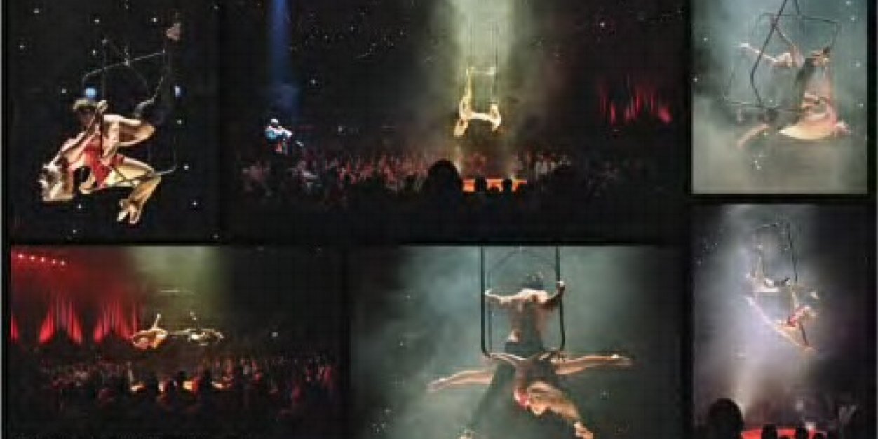 Katharine Arnold banner