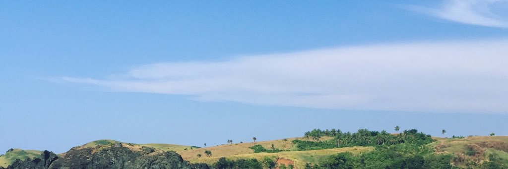 allyzonmaee's profile banner image