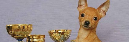 BenDowie's profile banner image