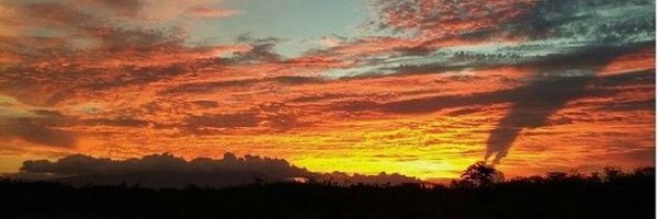 amaliAstuti Profile Banner