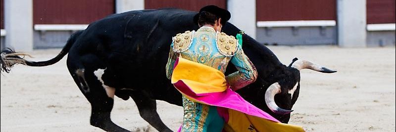 Eugeniodemora's profile banner image