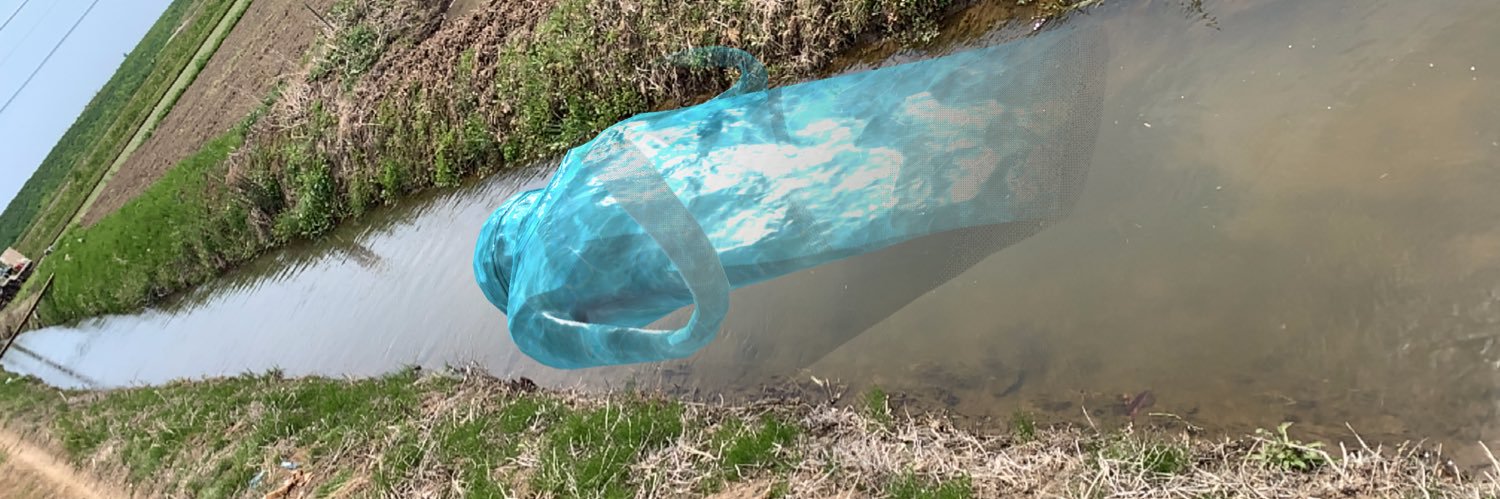 ノムーの霜精 banner