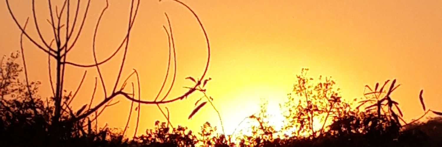 liacarvalhooliv's profile banner image