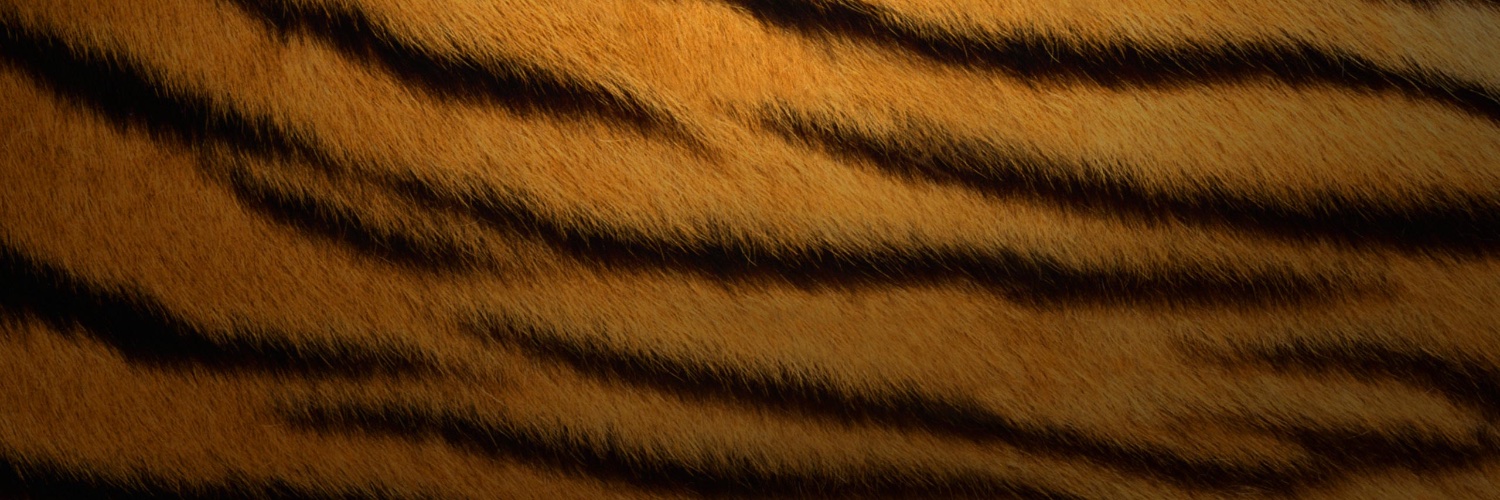 Neliger ➡️ @tisha@htt.social banner