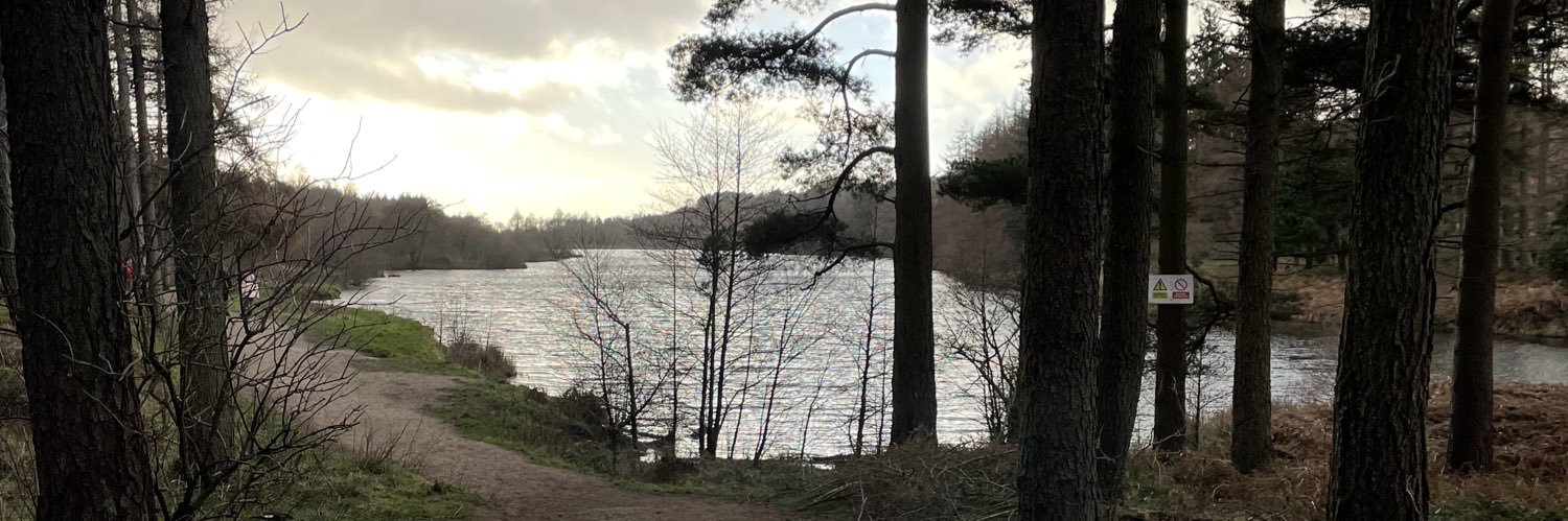 Andrew Simpson banner