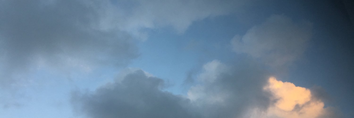 elinhp's profile banner image