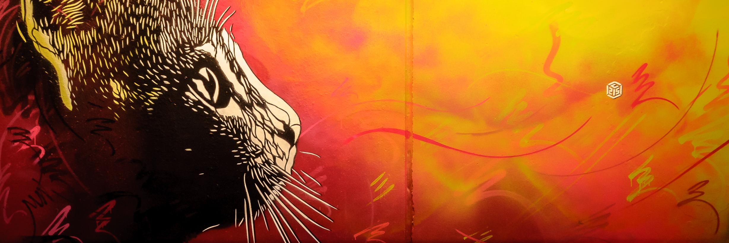 ratulotron's profile banner image