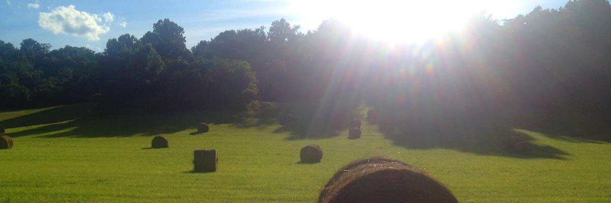 karine_bailly's profile banner image