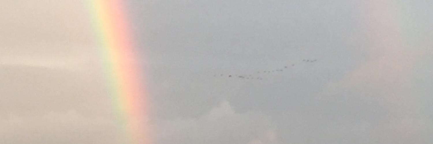 Tim Sexton banner
